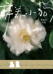 《弃养小狗》