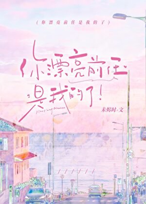 《你的漂亮前任是我的了》