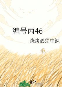 《编号丙46》