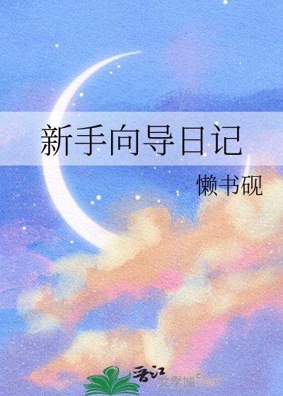 《新手向导日记》
