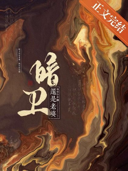 暗衛還是老婆