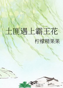 《土匪遇上霸王花》